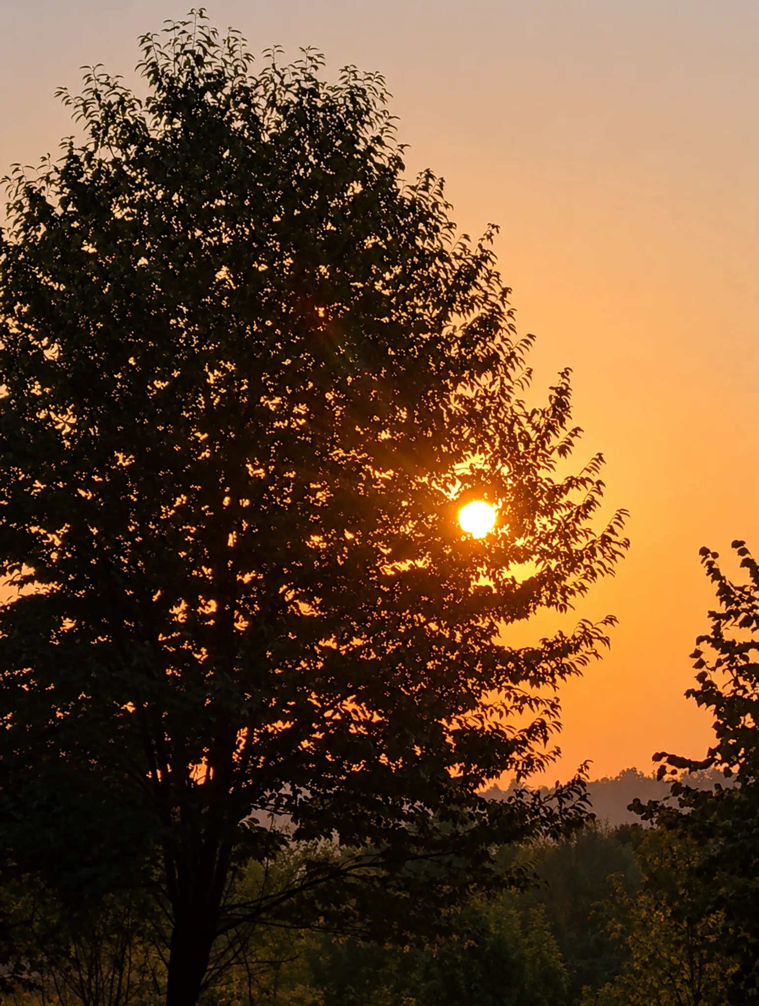 Sonnenuntergang im Feudo