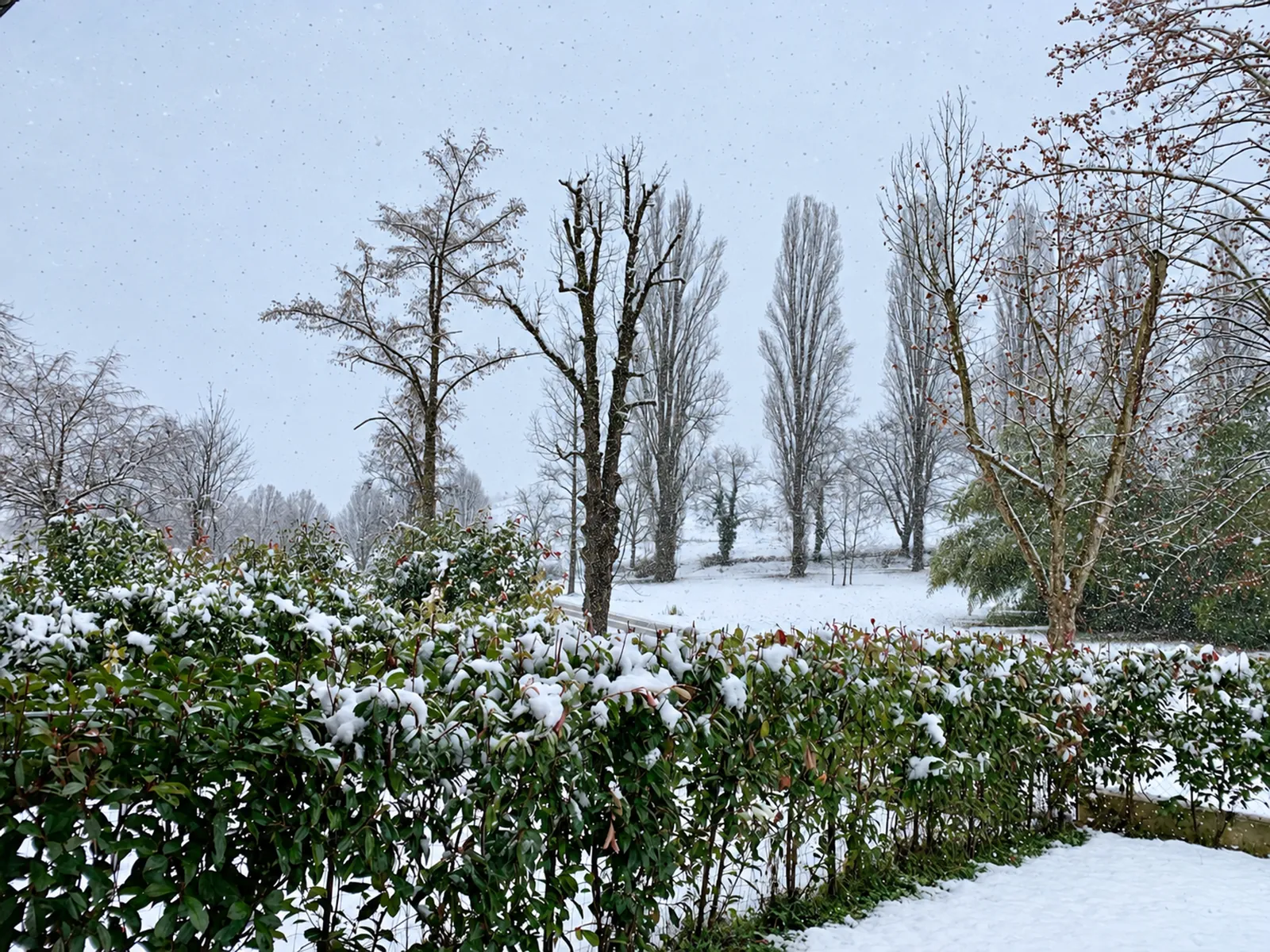 Schnee über dem Park