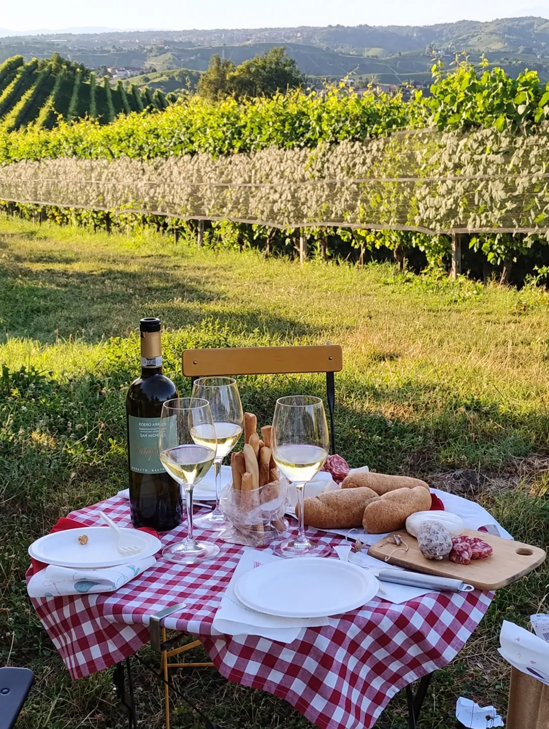 Picnic tra i filari: tovaglia a quadri, calici di bianco, salame, formaggio e pane