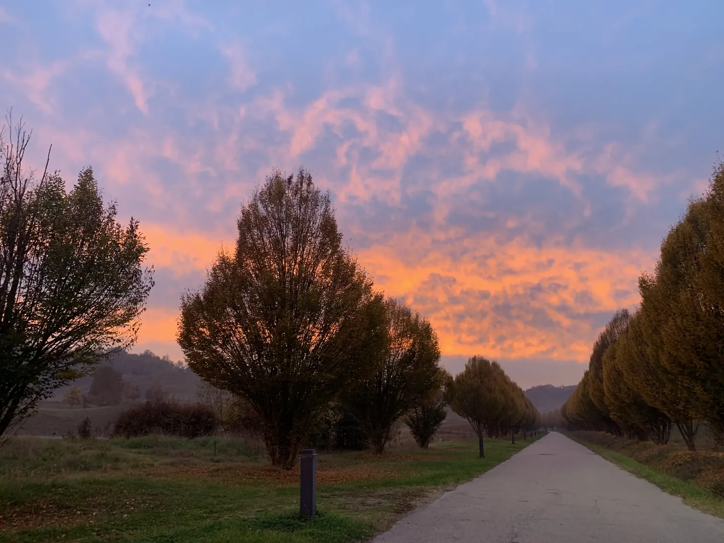 Sonnenuntergang im Park des Anwesens
