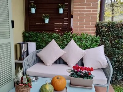 Le zucche e i ciclamini di Halloween